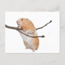 Buscar miembros de árbol postales Fotografía