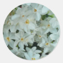 Buscar delicate pegatinas Para todos