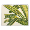 Buscar ilustraciones calendarios General y unisex