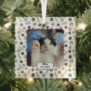 Buscar huellas adornos Gatito