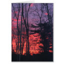 Buscar salidas del sol postales Hermoso