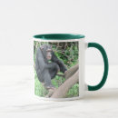 Buscar chimpancés Amo
