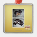 Buscar snuggies Puedo tengo cheezburger
