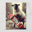 Buscar skate postales Divertido