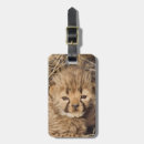 Buscar jubatus accesorios Bebé