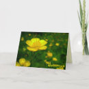 Buscar cumpleaños tarjetas de pascua Amarillo