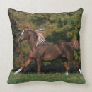 Buscar caballo árabe cojines Foto