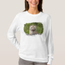 Buscar lince camisetas Naturaleza