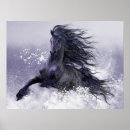 Buscar frisios posters Equino
