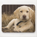 Buscar labrador retriever alfombrillas de raton Cachorro