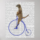 Buscar faros posters Animales