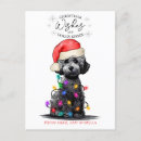 Buscar cangrejo feliz postales General y unisex