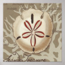 Buscar sonetos posters Costero