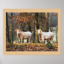 Buscar rubia posters General y unisex
