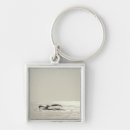 Buscar ballena llaveros Blanco y negro