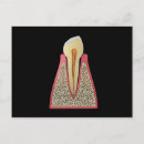 Buscar dentadura postales Salud