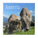 Buscar alpino azulejos Austria