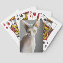 Buscar peinado barajas de cartas Gato