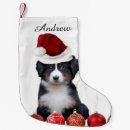 Buscar días de fiesta calcetines navideños Perro