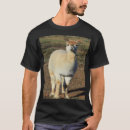 Buscar alpacas camisetas Para él