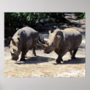 Buscar del rinoceronte arte Foto