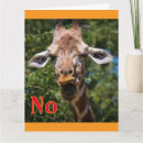Buscar cara divertida tarjetas Animal