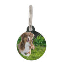 Buscar australianos collares Para todos