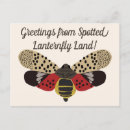 Buscar bichos postales Insectos