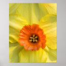 Buscar bombillas posters Amarillo