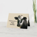 Buscar vaca divertida tarjetas Holstein