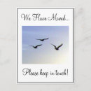 Buscar pájaro en vuelo postales Cielo