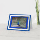Buscar pavos reales tarjetas Pavo real