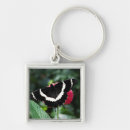 Buscar mormones llaveros Para todos