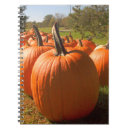 Buscar calabaza cuadernos Otoño