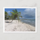 Buscar riviera maya postales Arena