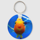 Buscar goldfish llaveros Pescados