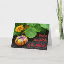 Buscar selección tarjetas Calabaza
