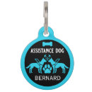 Buscar ojo collares Perros