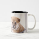 Buscar bañera tazas Animal