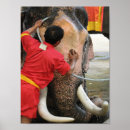 Buscar dumbo posters Para todos