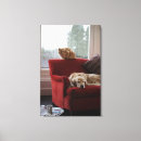 Buscar gato de tabby lienzos Vertical