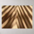 Buscar sombras posters Patrón