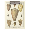 Buscar sepia libretas Océano