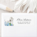 Buscar caniche estándar blanco postales Acuarela
