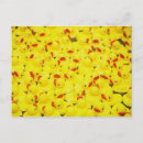 Buscar patos de goma postales Amarillo
