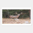 Buscar ciervos rectangulares pegatinas Animal