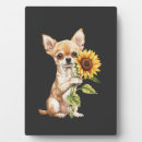 Buscar chihuahua placas fotograbadas Pug