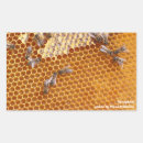 Buscar hexagonal pegatinas Amarillo