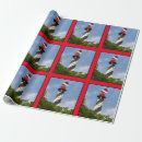Buscar asqueroso papel de regalo General y unisex