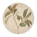 Buscar cobalto tablas cortar Tejidos